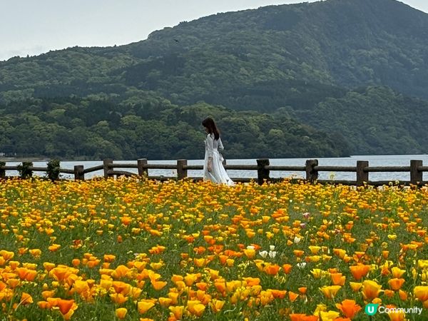 隱世秘景遊‼️鹿兒島五日四夜