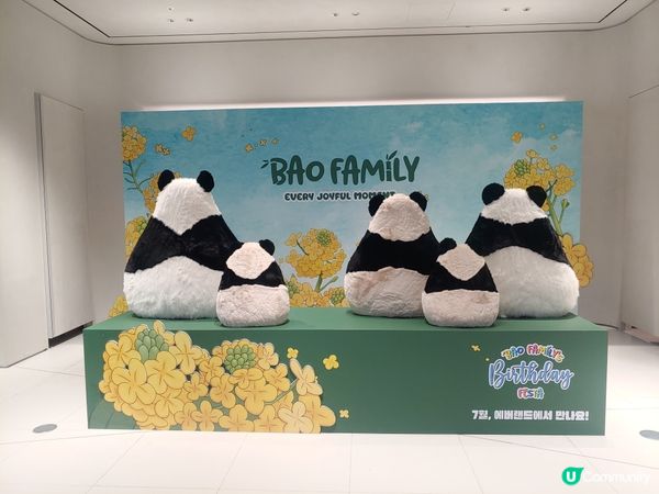 首爾熊貓popup store 
(展期應該已完結)