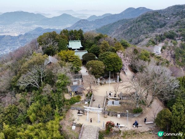 香川縣📍必去朝聖打卡鳥居⛩️