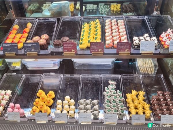 可愛動物造型朱古力