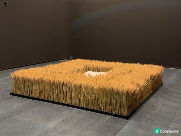 深圳美術館