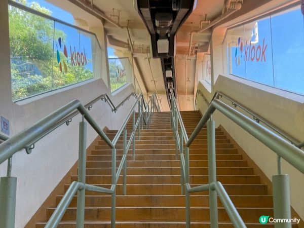 最後一沖｜海洋公園水上樂園不用排隊玩不停💦☀️