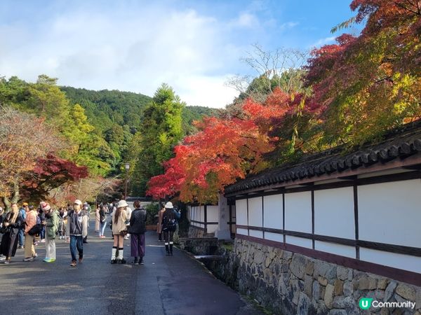 11月24日 天授庵紅葉狀況
