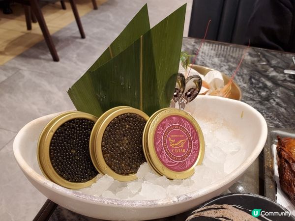 食放題？？大喜屋放題大比拼 🍣🥢