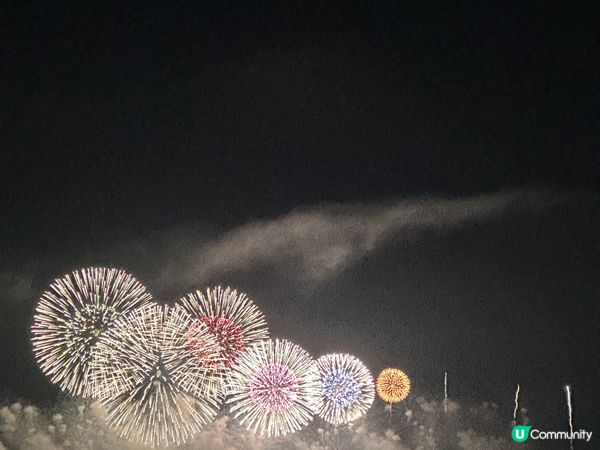 長岡花火大會之旅🎇人生目標達成！