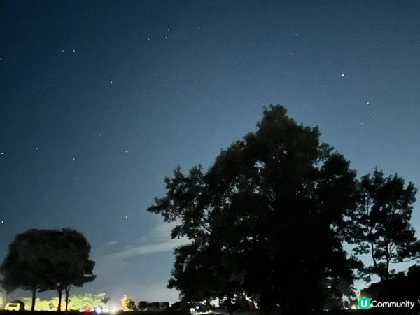 長岡花火大會之旅🎇人生目標達成！