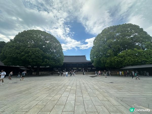 明治神宮避暑一流！🌳☀️ 熱到溶都Chill得住！😎