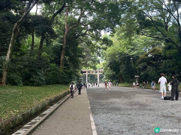 明治神宮避暑一流！🌳☀️ 熱到溶都Chill得住！😎