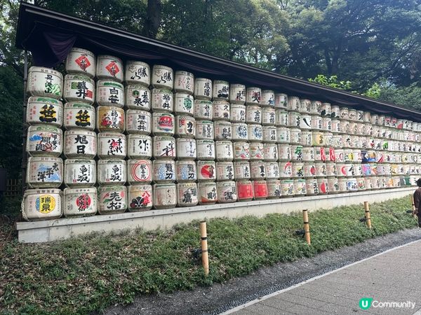 明治神宮避暑一流！🌳☀️ 熱到溶都Chill得住！😎