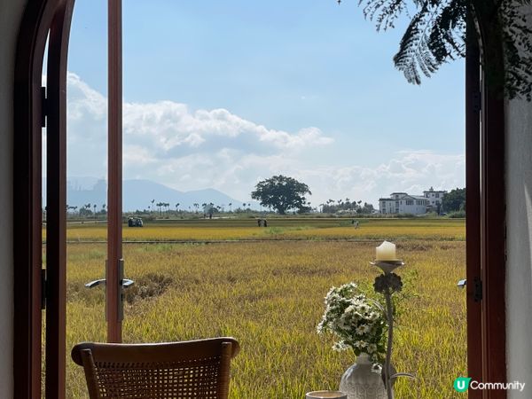 我想咖啡☕稻田邊嘅靜謐午後🌾！