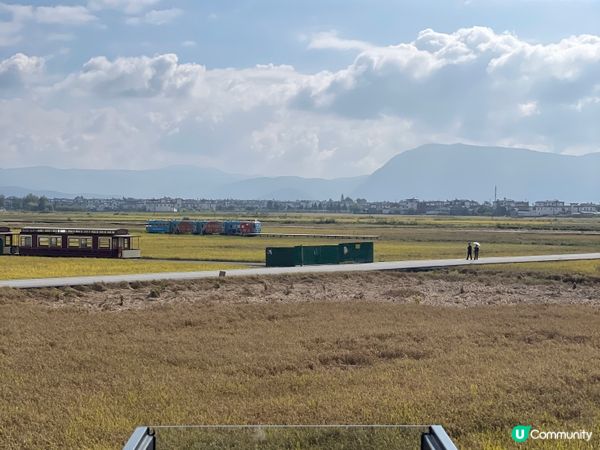 我想咖啡☕稻田邊嘅靜謐午後🌾！
