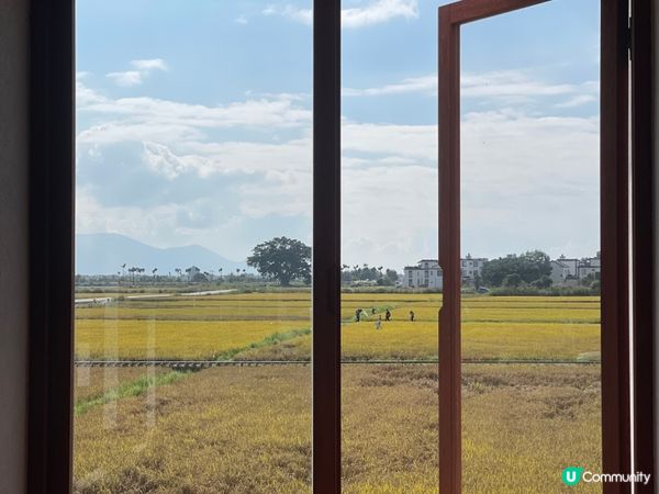 我想咖啡☕稻田邊嘅靜謐午後🌾！