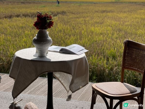 我想咖啡☕稻田邊嘅靜謐午後🌾！