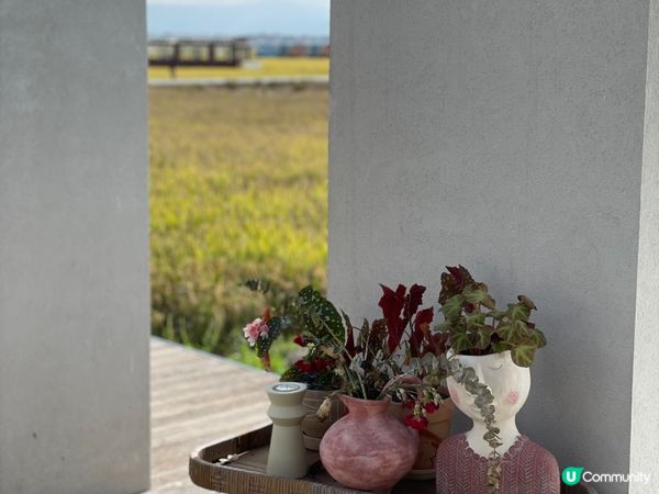 我想咖啡☕稻田邊嘅靜謐午後🌾！