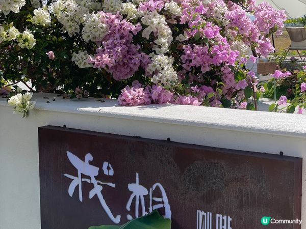 我想咖啡☕稻田邊嘅靜謐午後🌾！