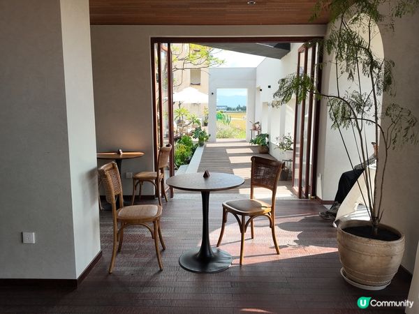 我想咖啡☕稻田邊嘅靜謐午後🌾！