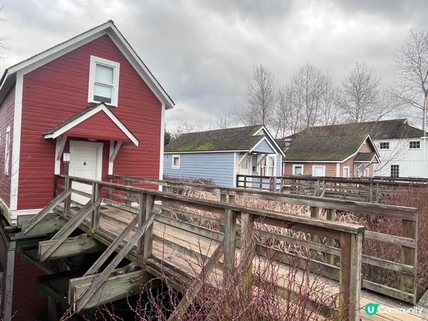 1.  溫哥華滑雪初體驗！⛷️ 超級好玩！😋 肥咗都值！