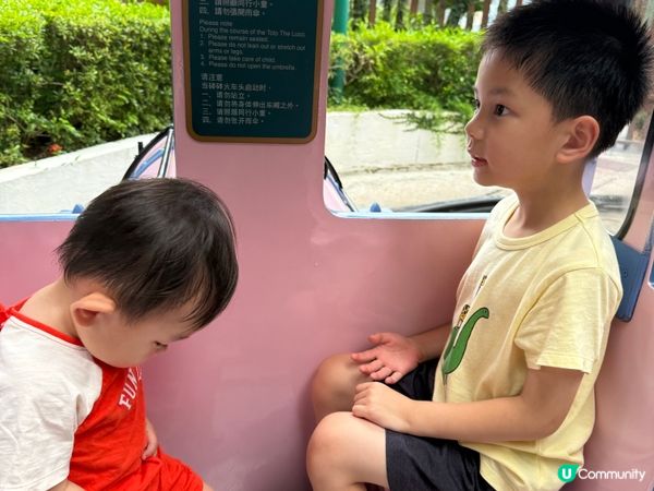 海洋公園夏日打卡慶祝生日之旅