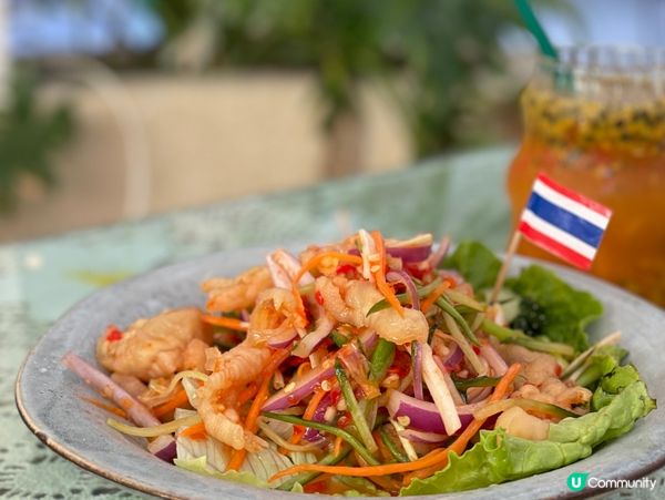 泰椰天香二分店！毛毛羊駝打卡📸🌴