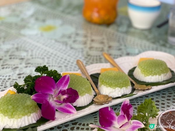 泰椰天香二分店！毛毛羊駝打卡📸🌴