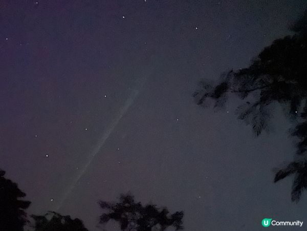 西雙版納夜遊記！🌃 螢火蟲星空等你✨