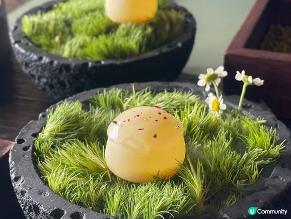 🍃不急·BUJI茶空間|洱海邊的素食午茶慢旅