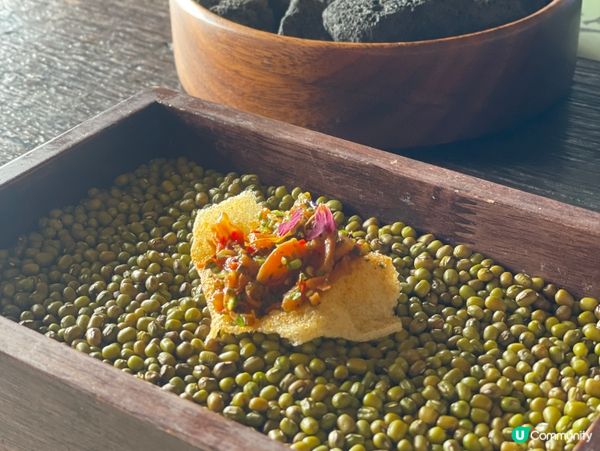 🍃不急·BUJI茶空間|洱海邊的素食午茶慢旅