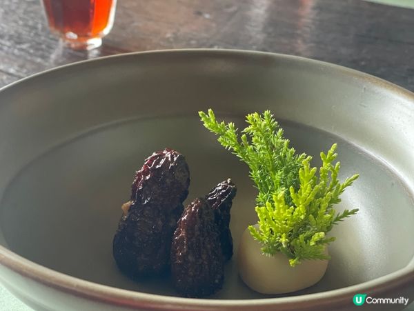 🍃不急·BUJI茶空間|洱海邊的素食午茶慢旅