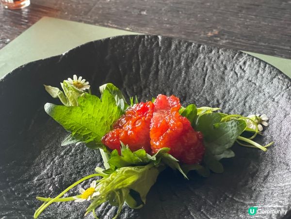 🍃不急·BUJI茶空間|洱海邊的素食午茶慢旅