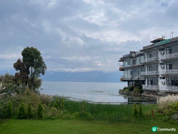 🍃不急·BUJI茶空間|洱海邊的素食午茶慢旅