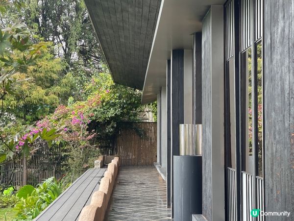 🍃不急·BUJI茶空間|洱海邊的素食午茶慢旅