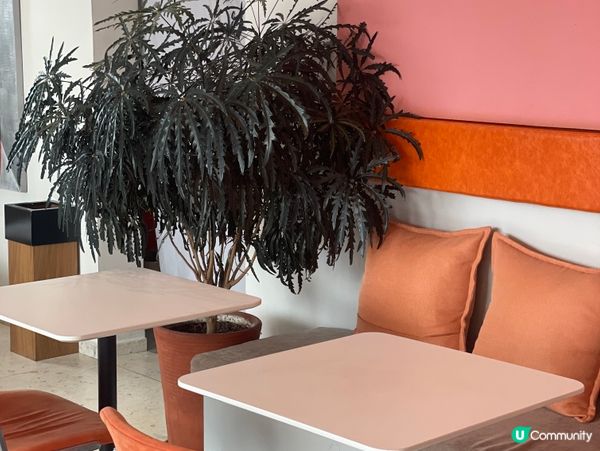 等風來🌅洱海邊嘅曙光☕️！靚爆！