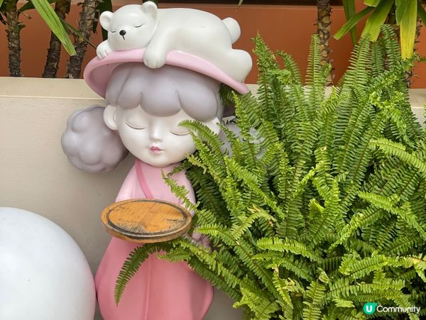 等風來🌅洱海邊嘅曙光☕️！靚爆！