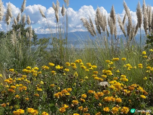 楓見餐廳🌿！蒼山半山田園四季味覺之旅😋