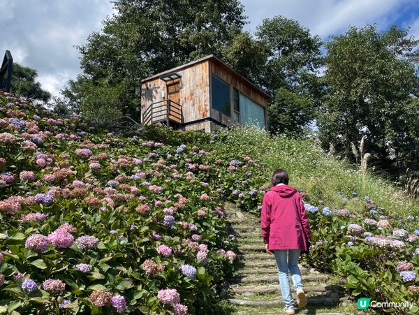 楓見餐廳🌿！蒼山半山田園四季味覺之旅😋