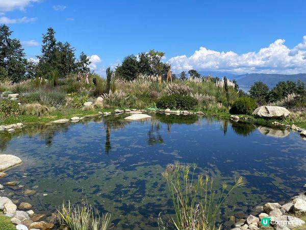 楓見餐廳🌿！蒼山半山田園四季味覺之旅😋
