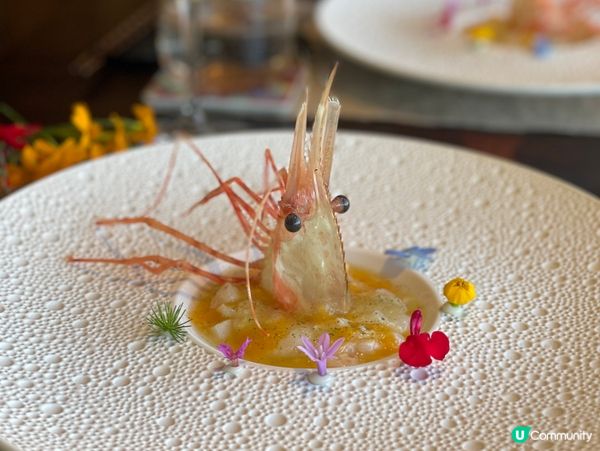 楓見餐廳🌿！蒼山半山田園四季味覺之旅😋