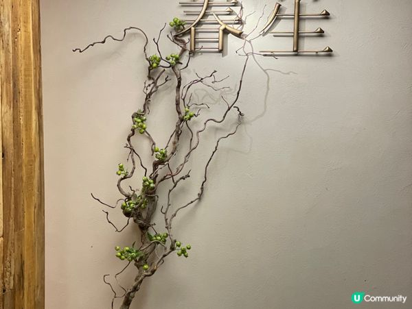 蒼山薄荷牛肉卷！仙氣飄飄☁️😋 #大理美食