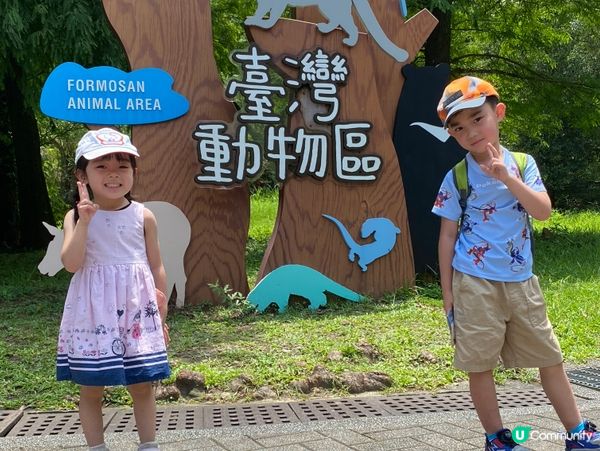 台北親子遊必去！動物園放電🔋🐼