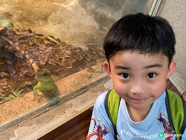 台北親子遊必去！動物園放電🔋🐼