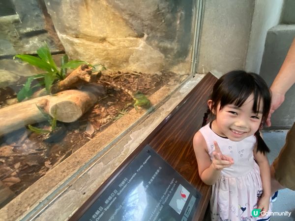 台北親子遊必去！動物園放電🔋🐼