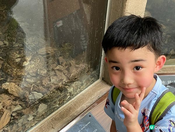 台北親子遊必去！動物園放電🔋🐼