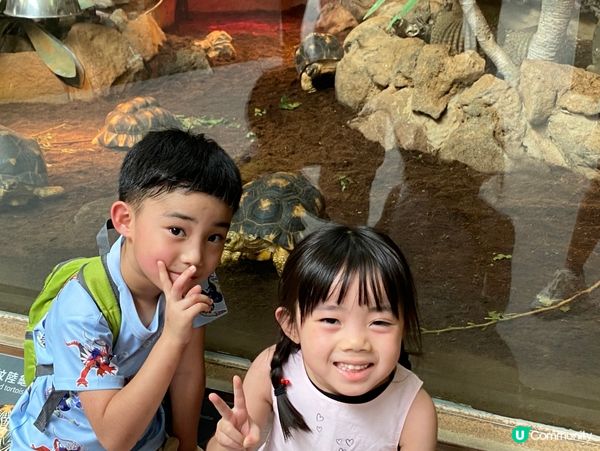 台北親子遊必去！動物園放電🔋🐼