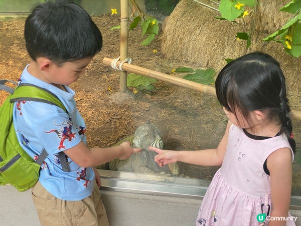 台北親子遊必去！動物園放電🔋🐼
