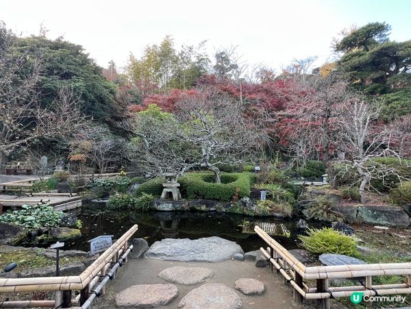 鎌倉之行-長谷寺