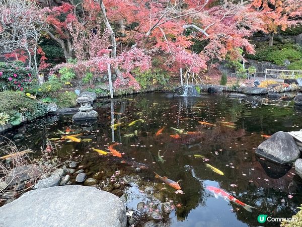 鎌倉之行-長谷寺
