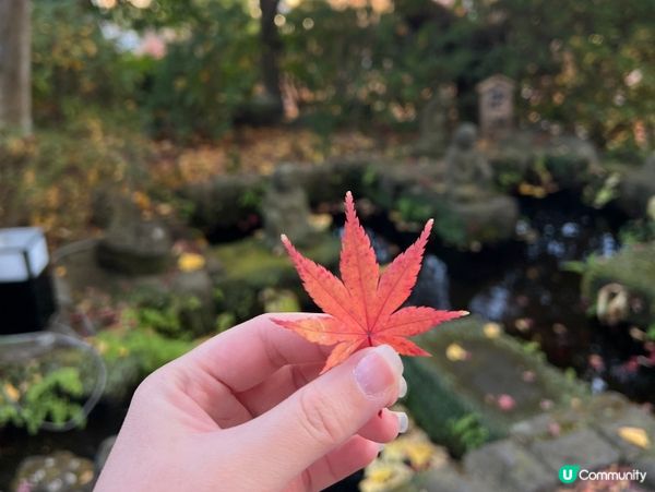 鎌倉之行-長谷寺