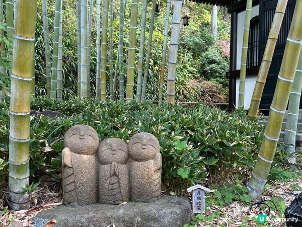 鎌倉之行-長谷寺