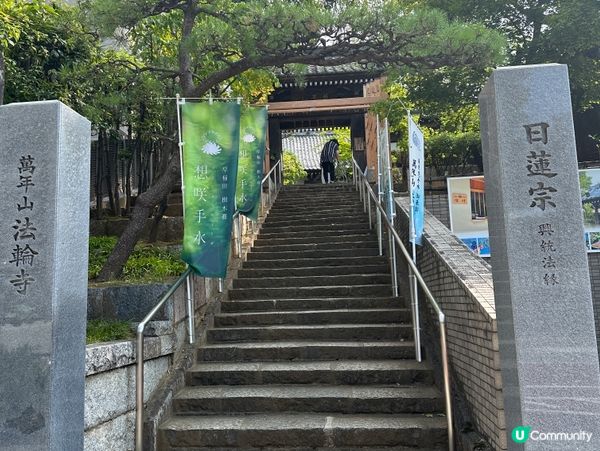 東京法輪寺🌸  打卡必備御朱印！