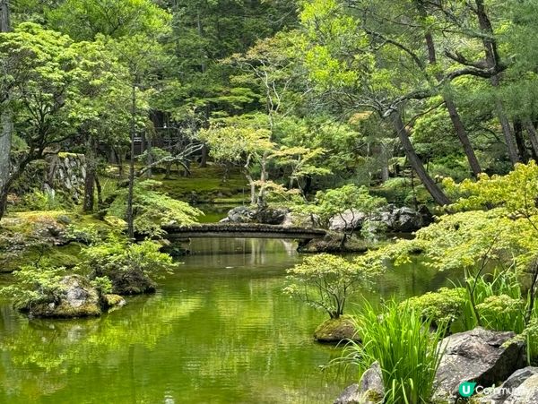 京都著名苔寺🌿禪意極濃💖